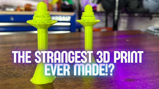 The Strangest 3D Print Ever Made!?