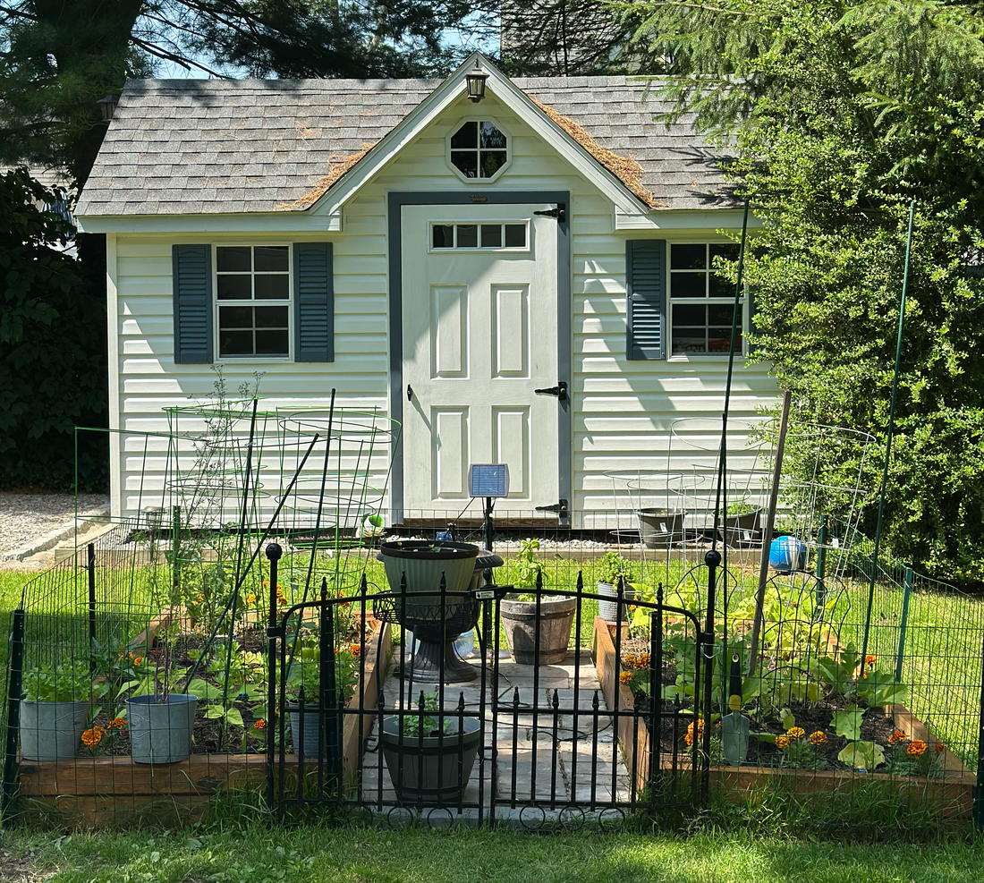 Powering a 125-Year-Old House with a Solar Watering System (Yes, Really)